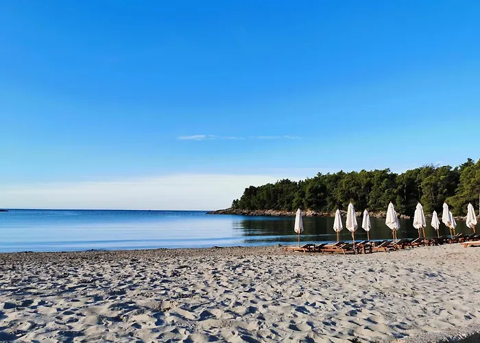 Maki Apartments - Plavi Horizonti Beach